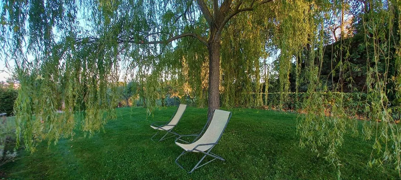 Poggio Olivo Daire Acquaviva