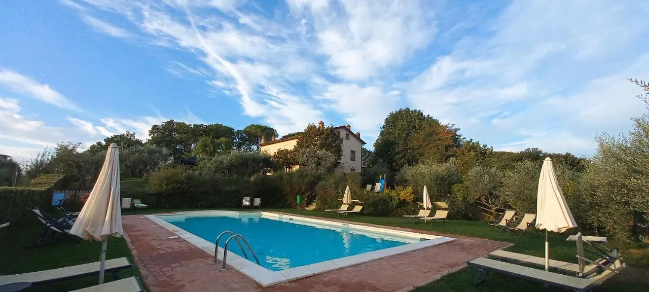 Poggio Olivo Daire Acquaviva