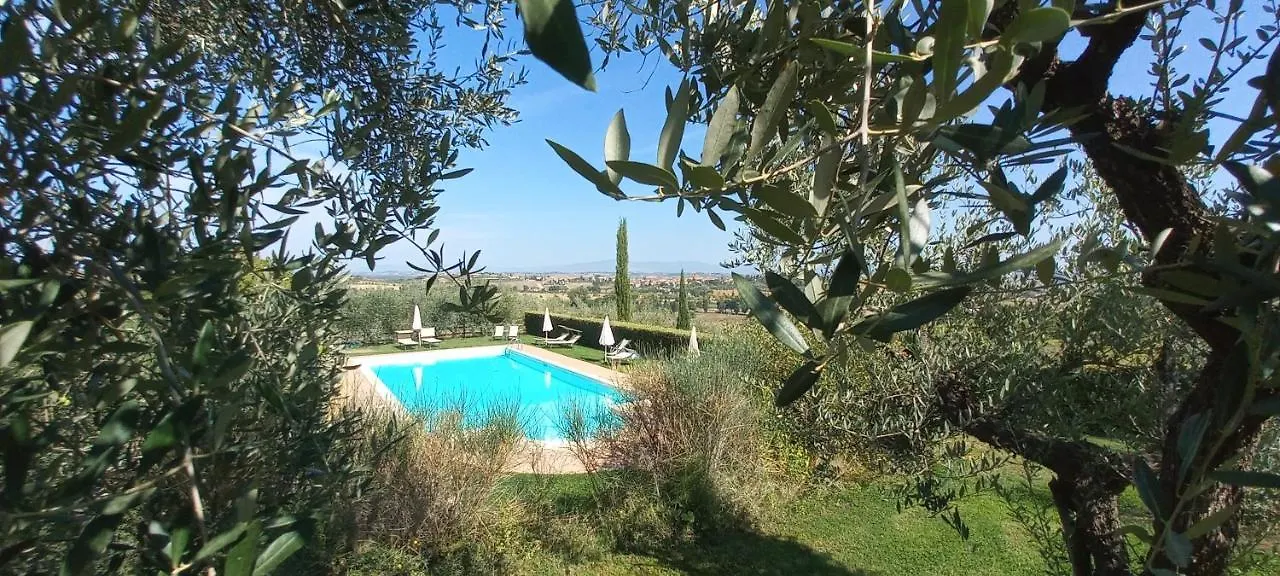Poggio Olivo Daire Acquaviva  İtalya