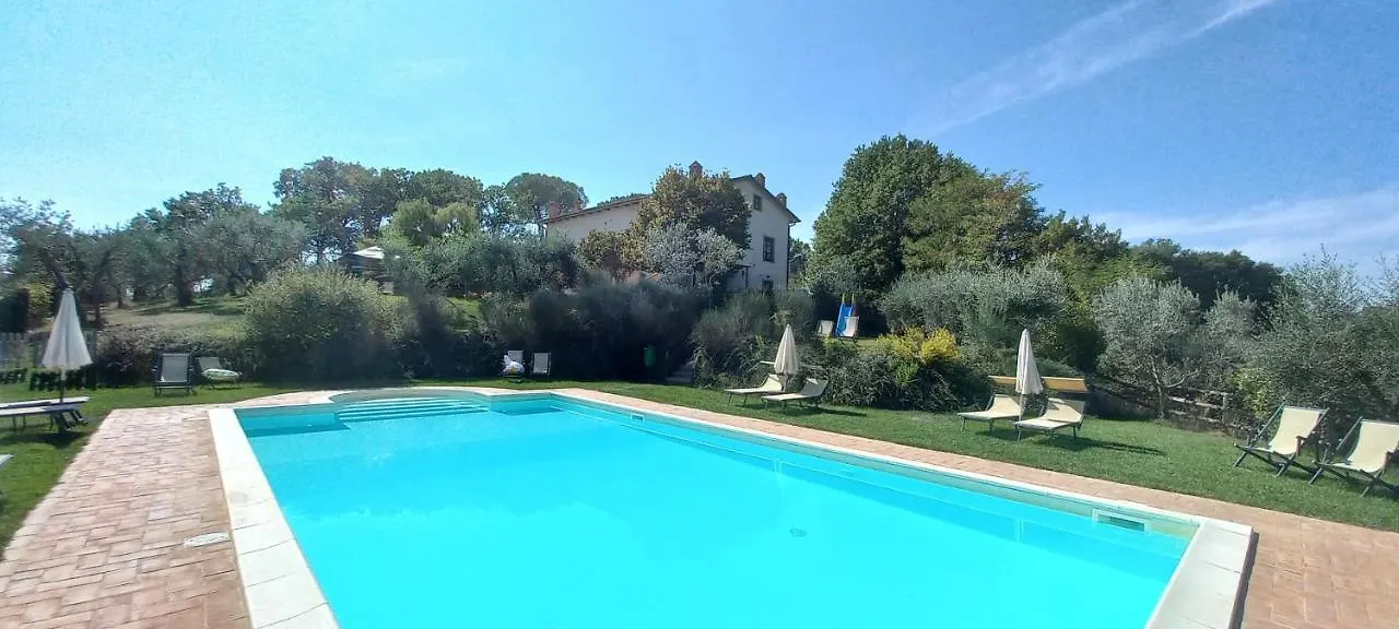 Poggio Olivo Daire Acquaviva