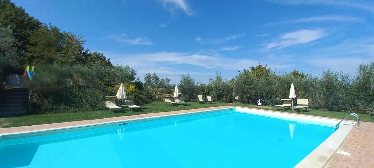 Poggio Olivo Daire Acquaviva