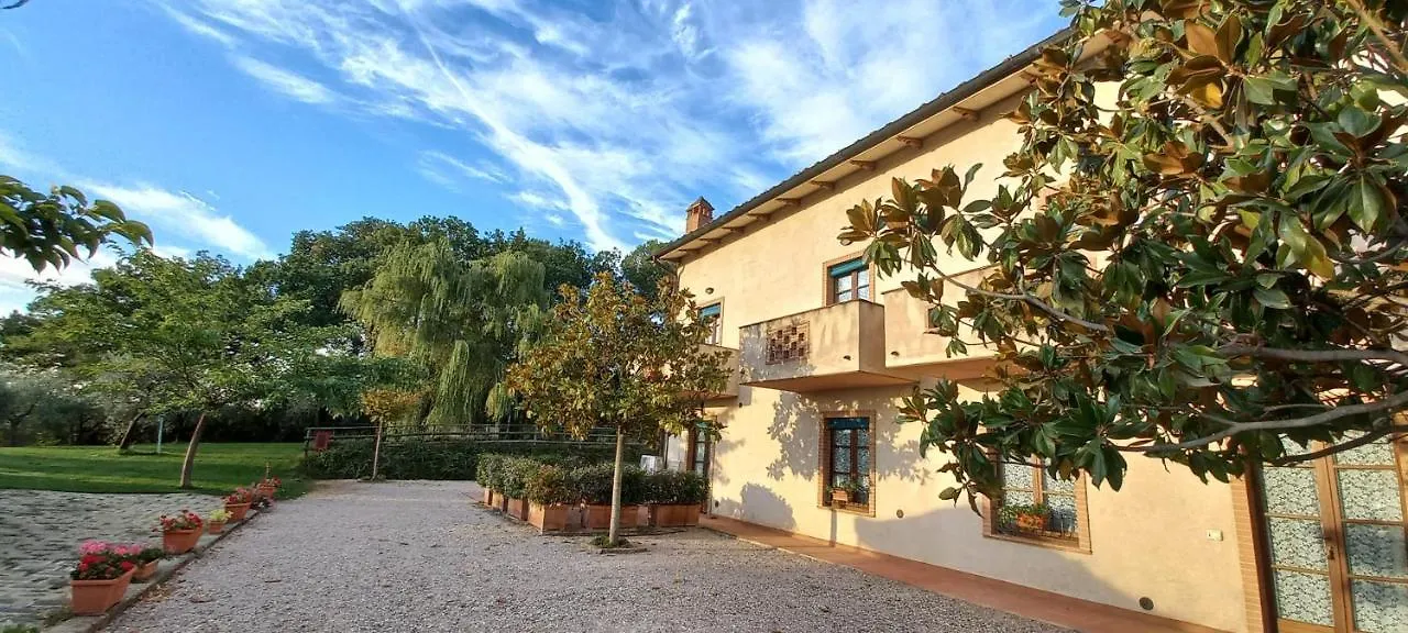 Poggio Olivo Daire Acquaviva   Acquaviva (Montepulciano)