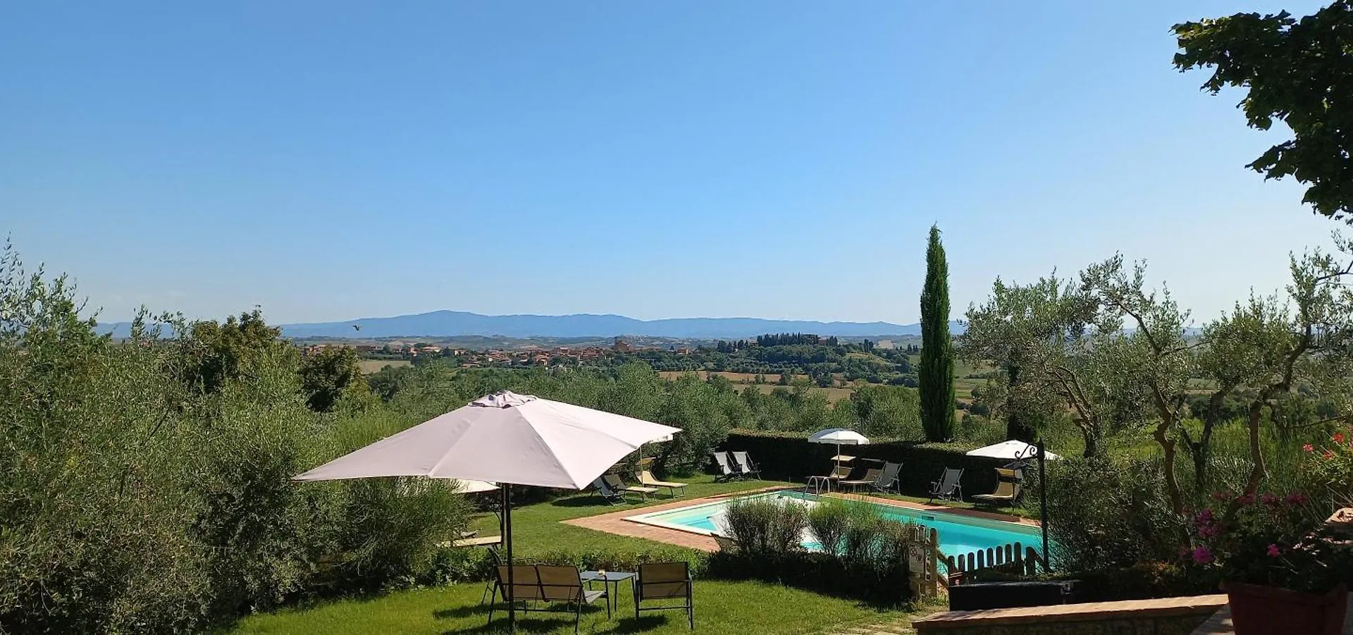 Poggio Olivo Daire Acquaviva