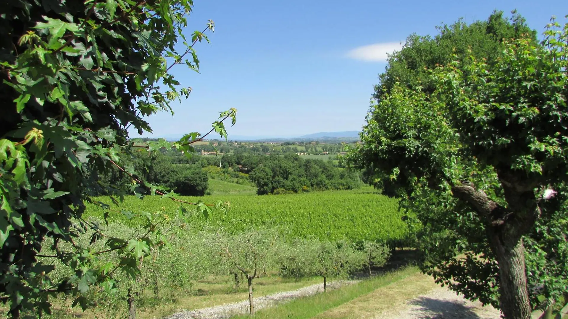Poggio Olivo Daire Acquaviva  0*, Acquaviva (Montepulciano) İtalya