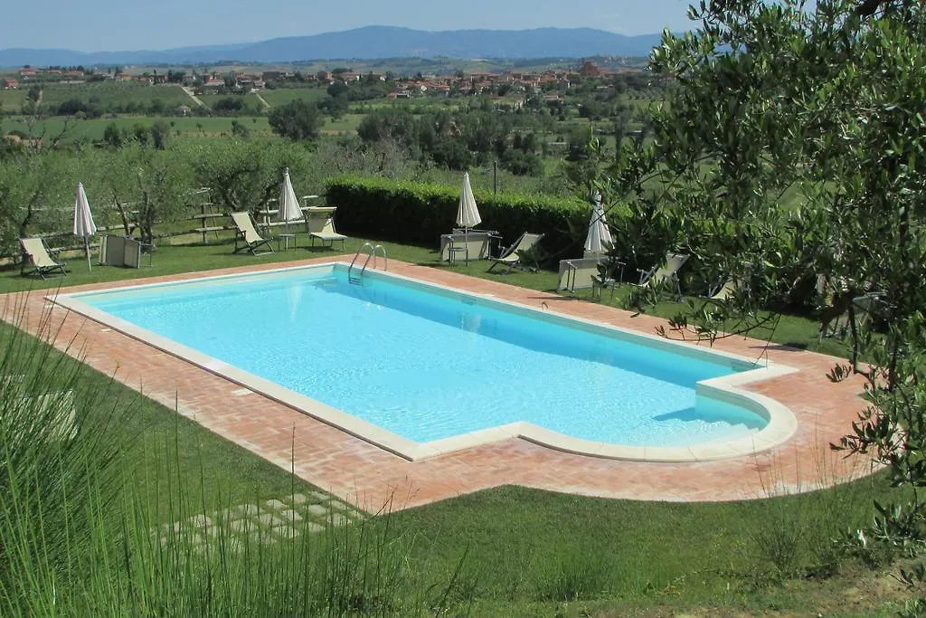 Poggio Olivo Daire Acquaviva