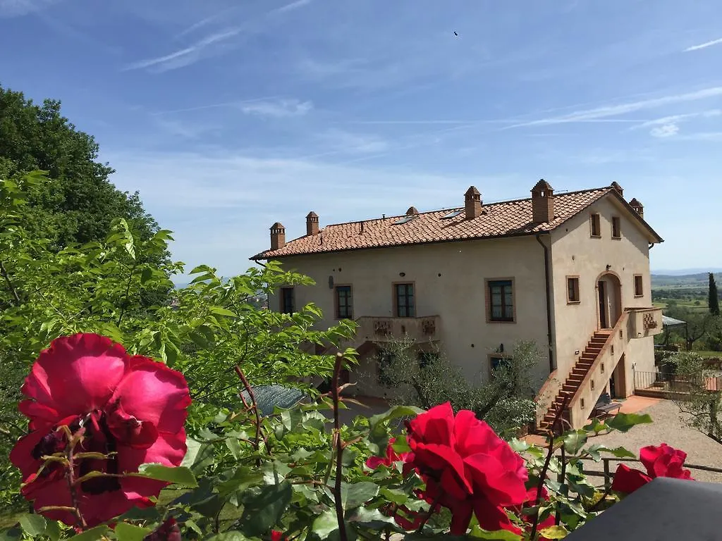 Poggio Olivo Daire Acquaviva